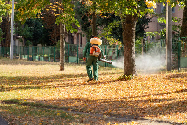 Reliable Belle, WV Pest Control Solutions
